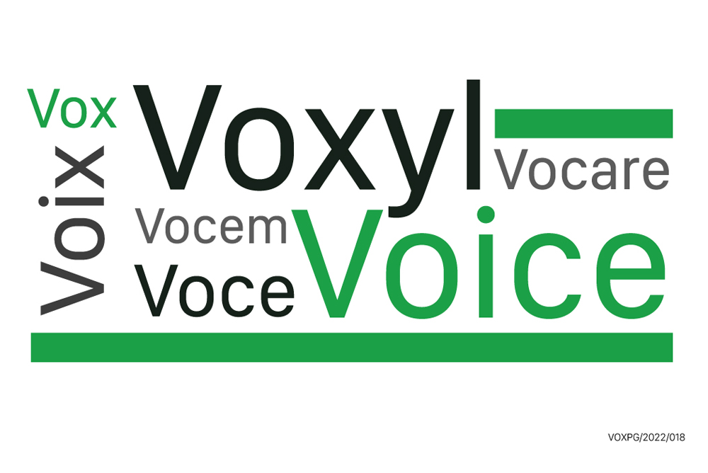 Voxyl & Voice: due parole con molte cose in comune