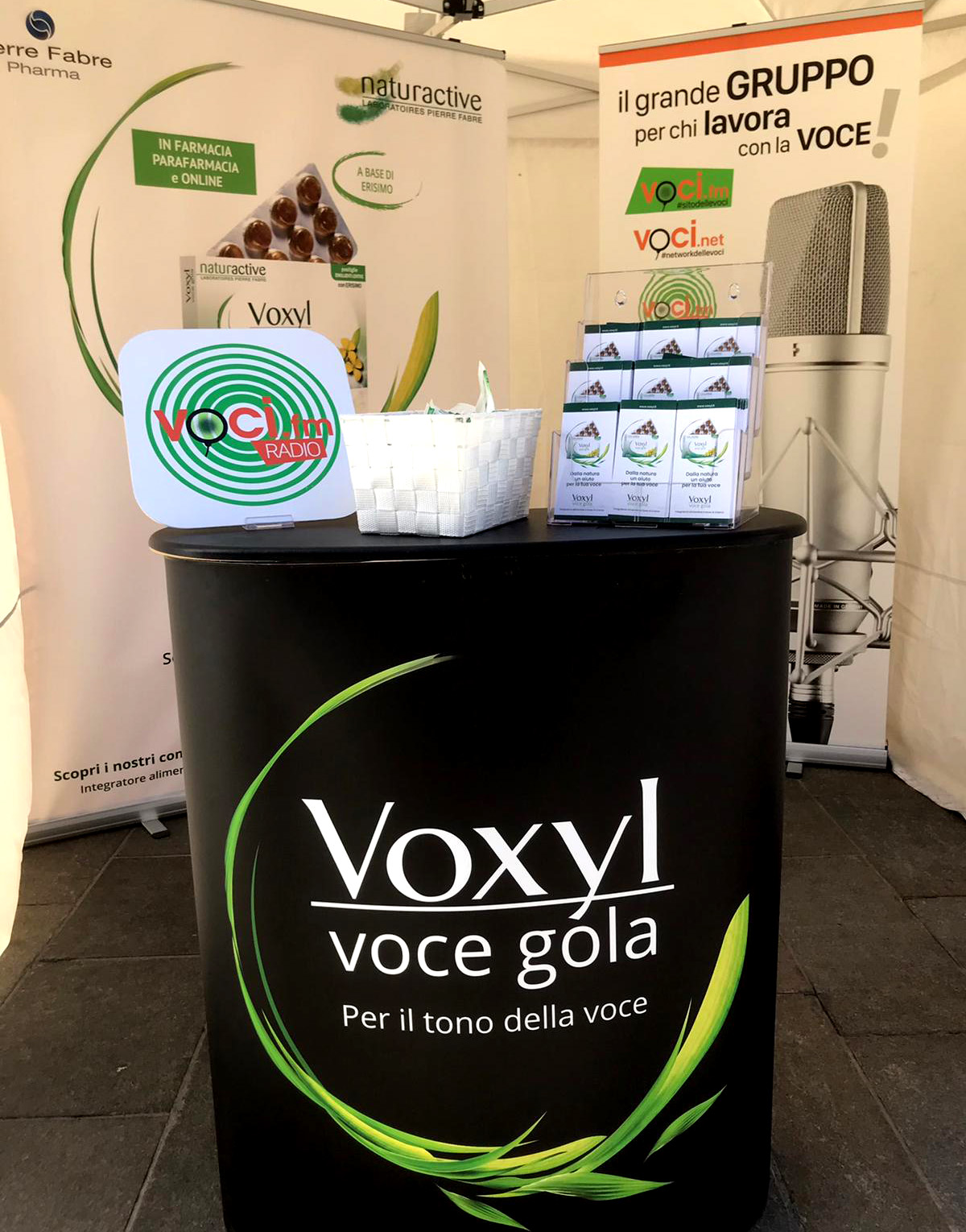 Voxyl Voce Gola al 
